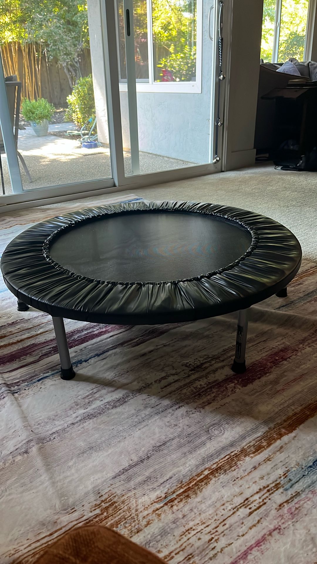 38 Inch Trampoline From Dick’s