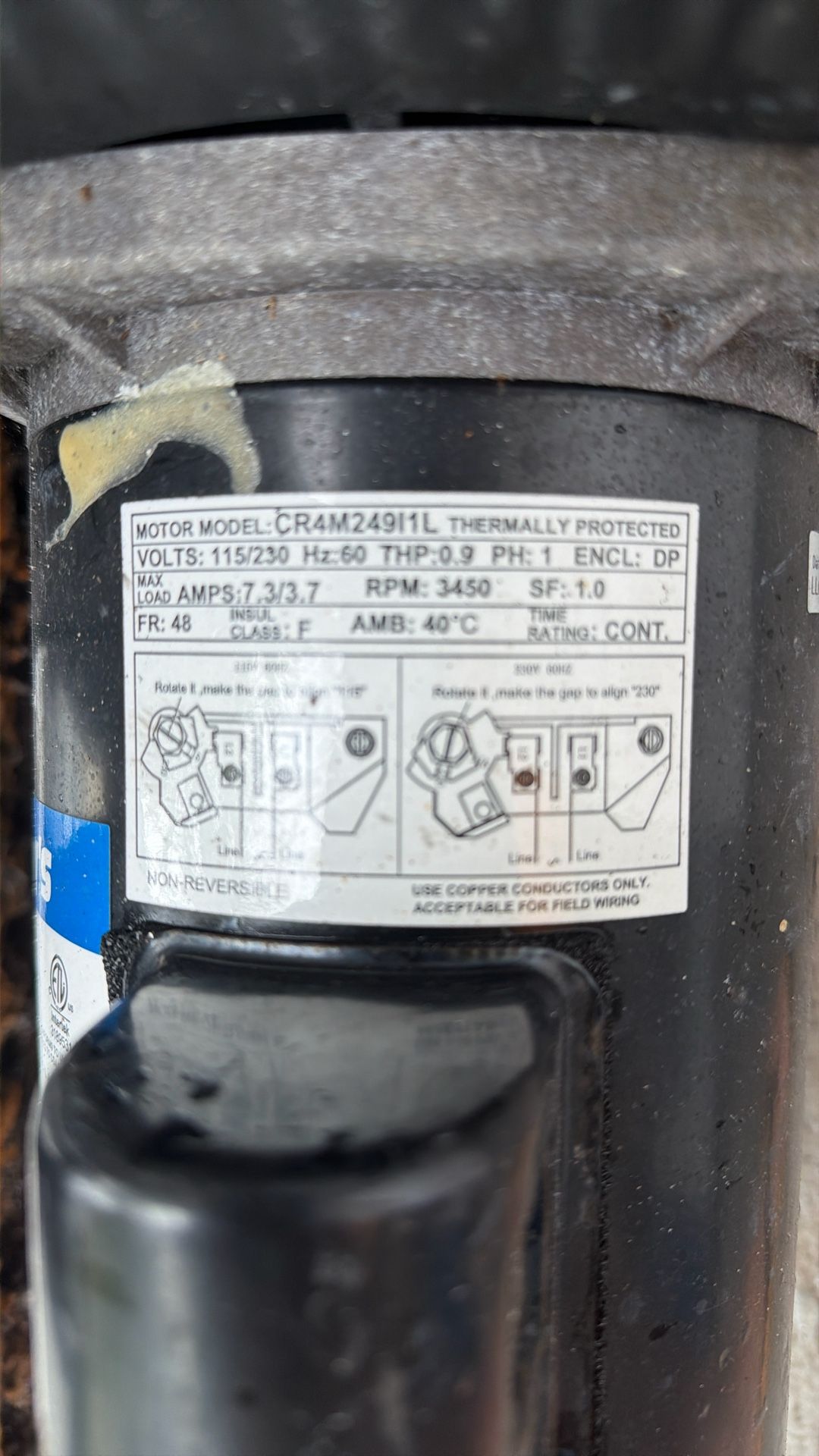 Doheny’s Inground Pool Pump