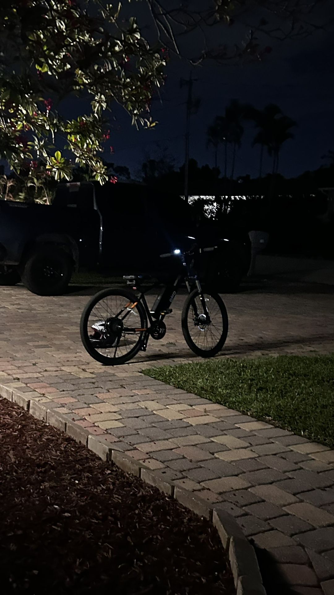Q-Life racer E Bike