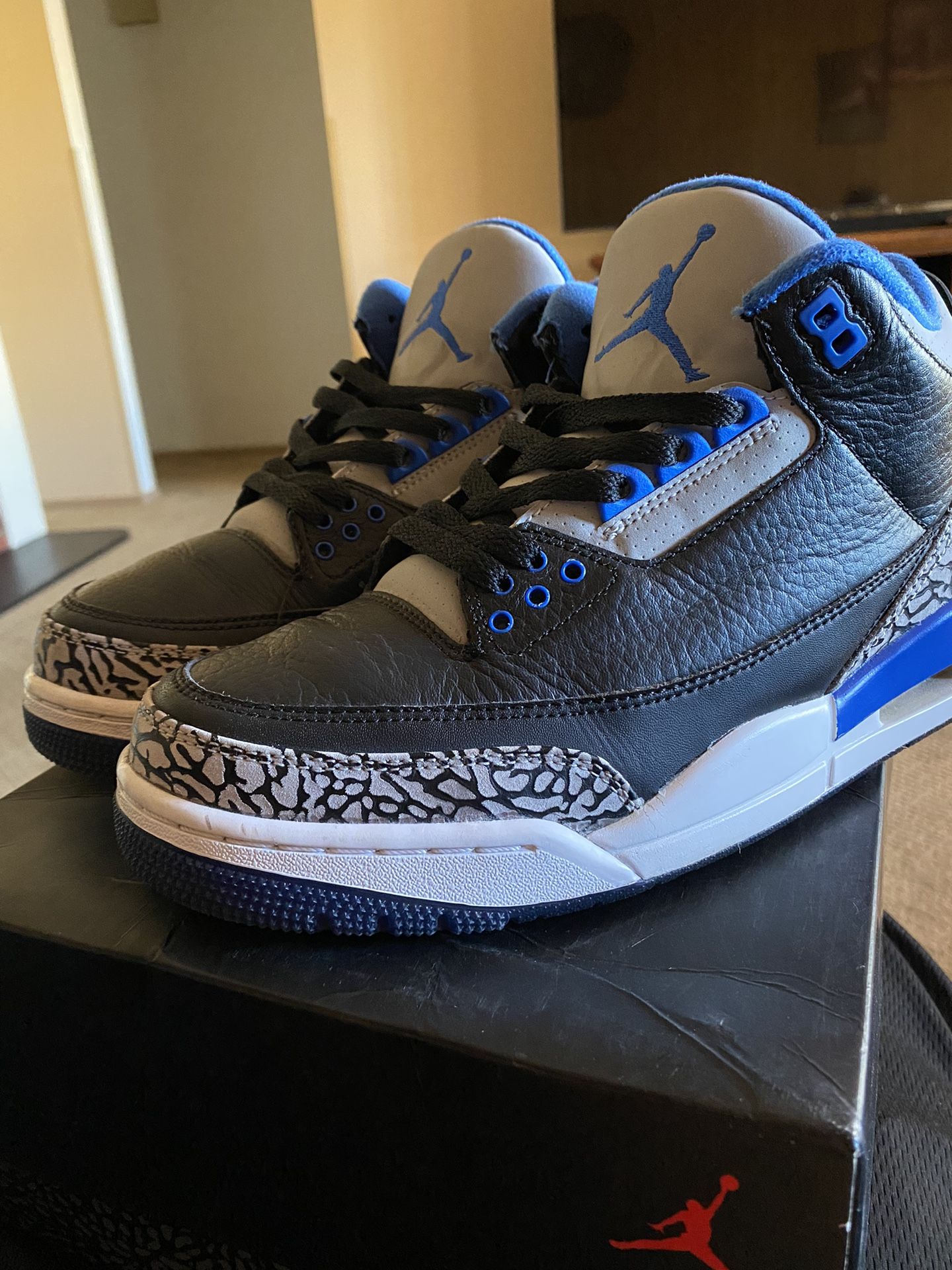 Jordan 3s Sport blue