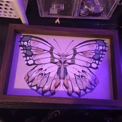 Butterfly Painting