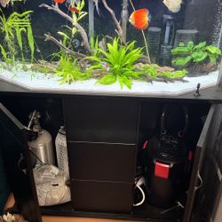 Fresh Water Planted Tank