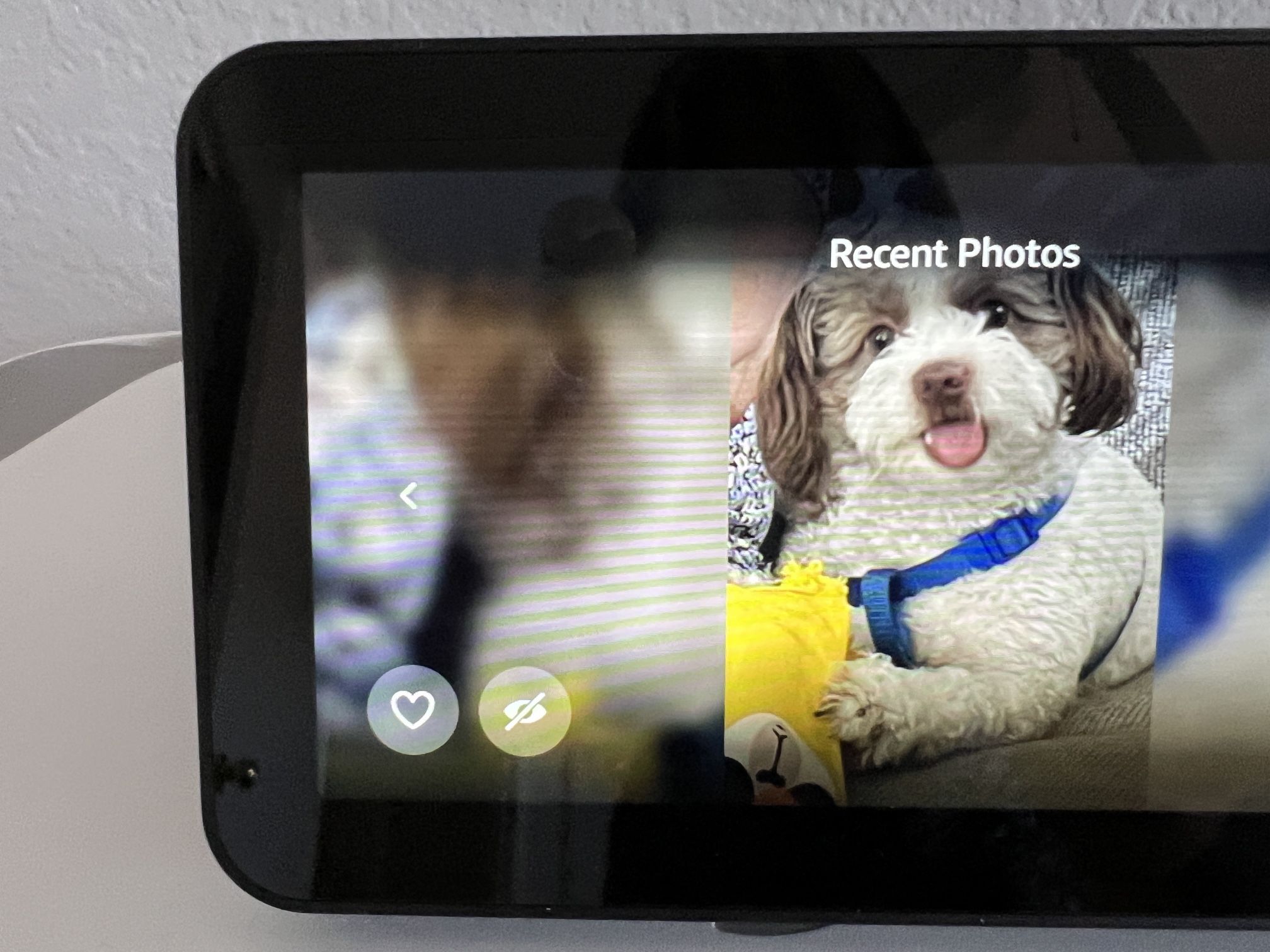 Echo Show 5