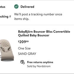 Baby Bouncer