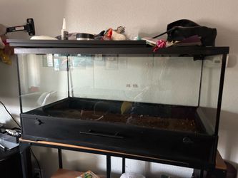 Reptile Tank Enclosure