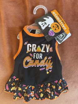 Halloween Pet Dress Xs