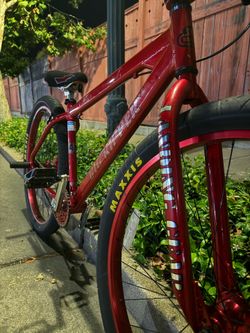Big Ripper SE Bike
