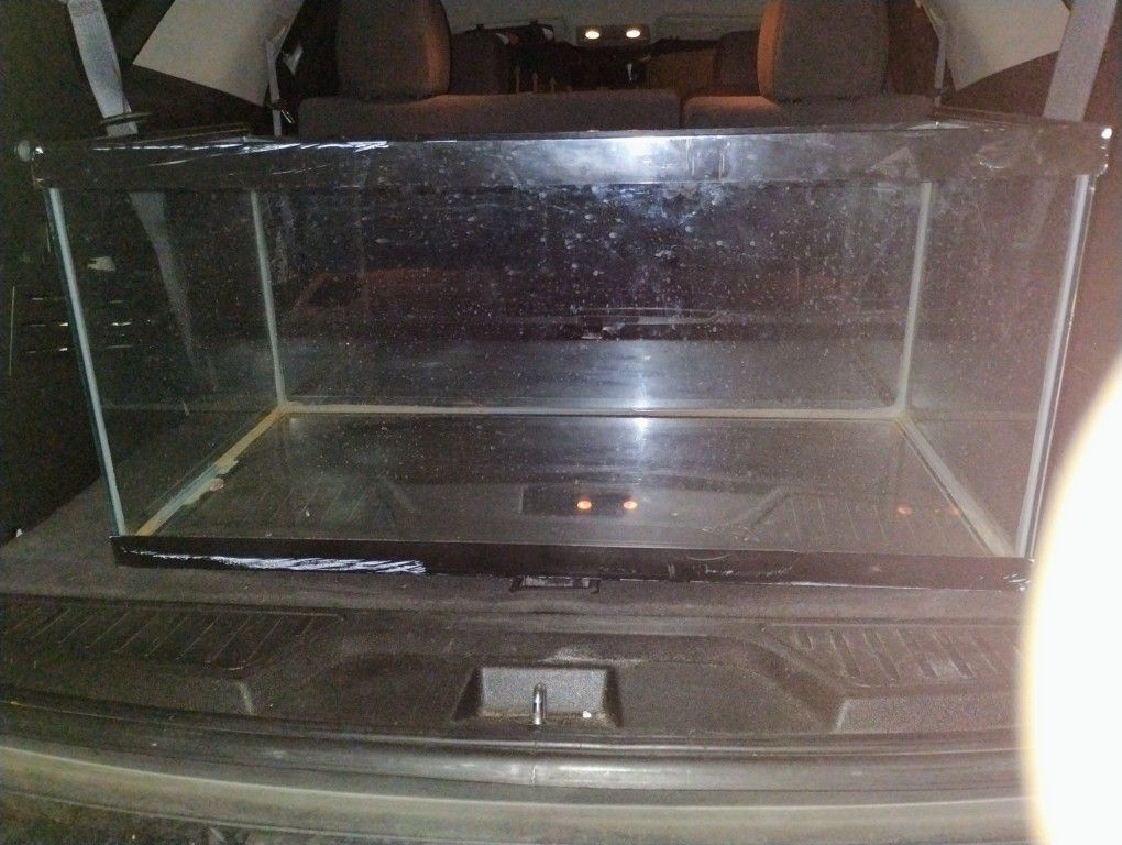 40 Gallon Fish Tank
