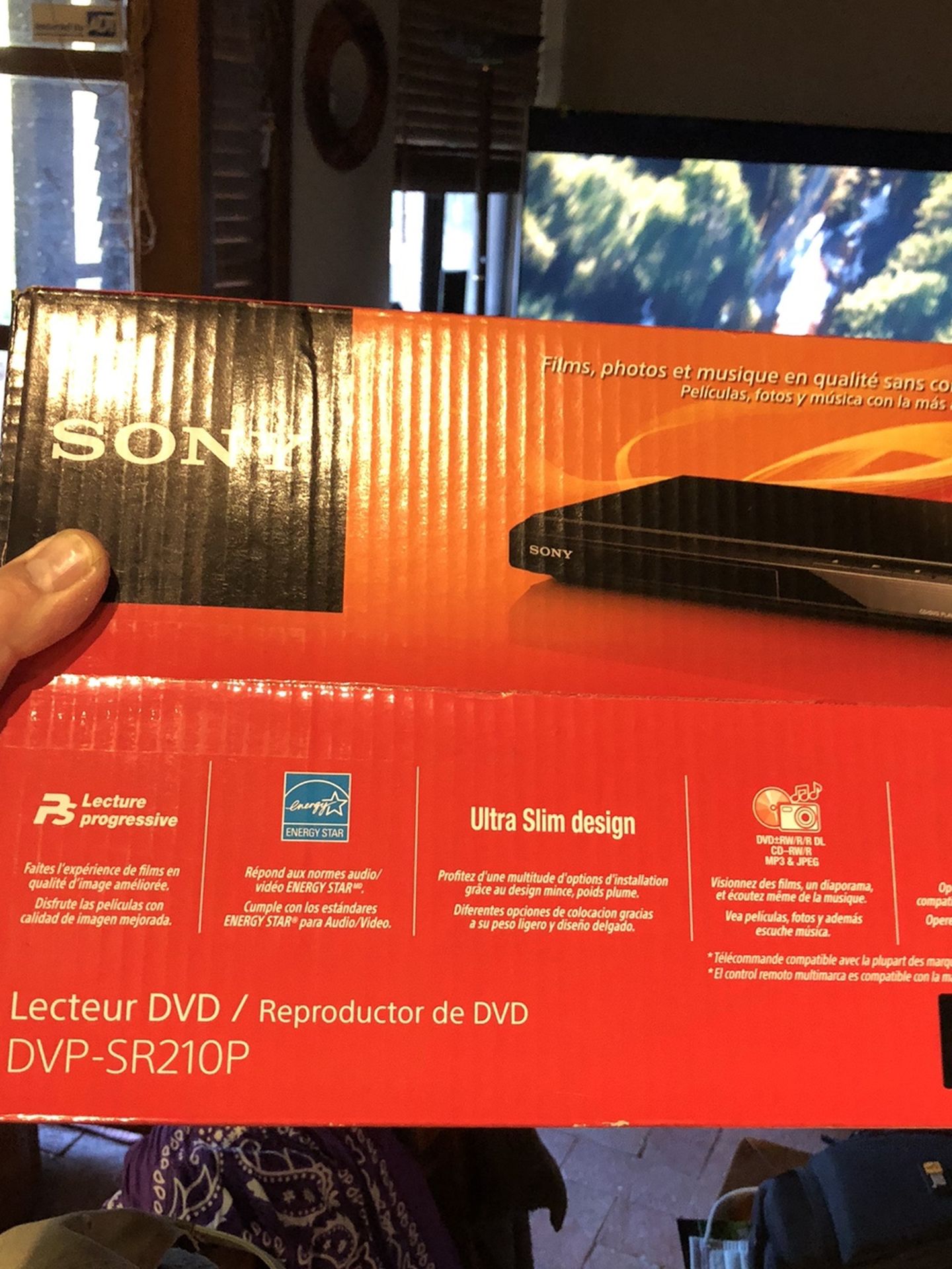 Sony DVD Player DVP-SR210P