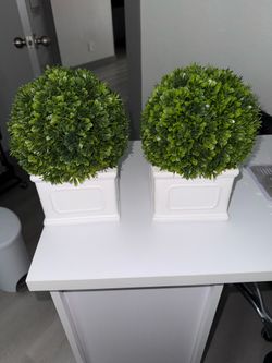 Set of 4 Artificial Boxwood Topiary Balls in Square White Ceramic Pots