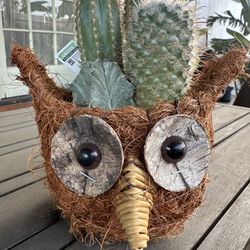 Vintage Cactus Owl