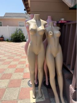 Manikin/mannequin