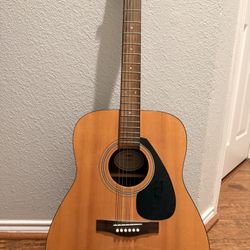 Yamaha F-310