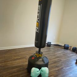 Punching BAG with Gloves 