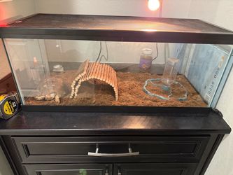 Terrarium