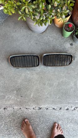 BMW kidney grille