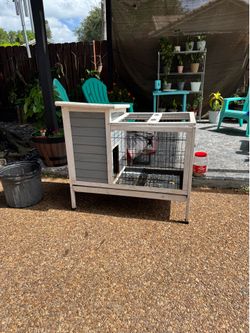 Rabbit cage
