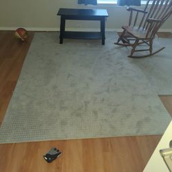 Carpet/Area Rug 