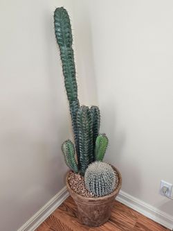 Southwest decor