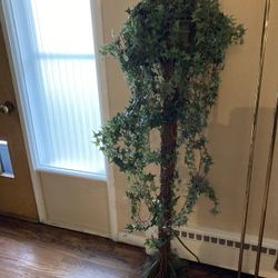 Ivy Topiary Tree