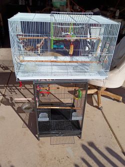 Bird Cage