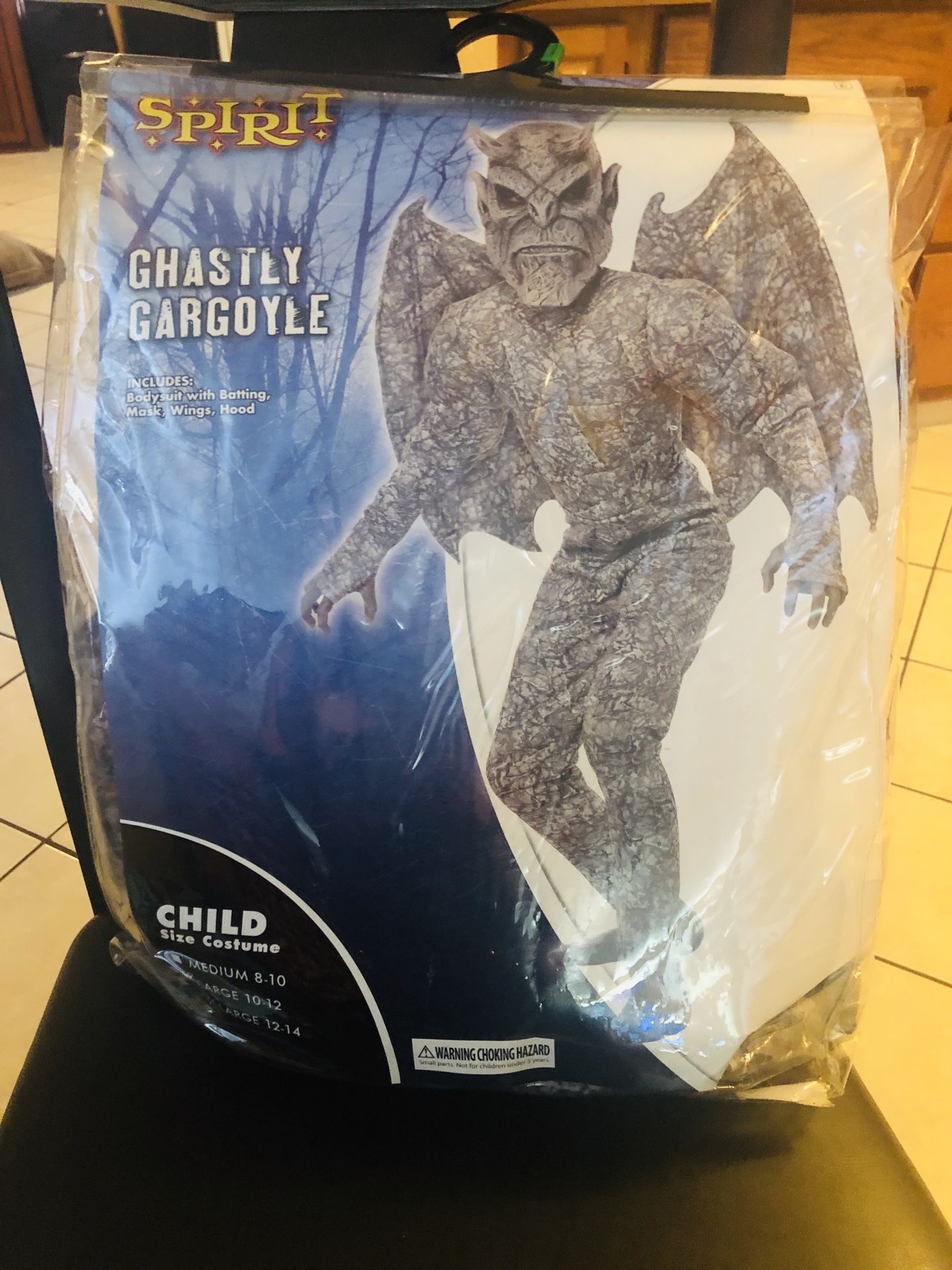 Gargoyle...Spirit Halloween costume