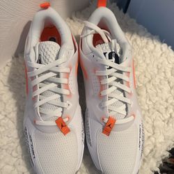 Nike Air Jordan Heir