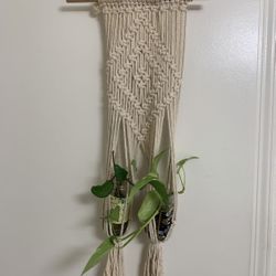 Macrame Plant Hanger Decor 
