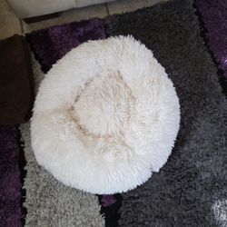 Small Pet Beds 