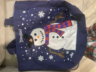 Disney Parks Holiday Bag