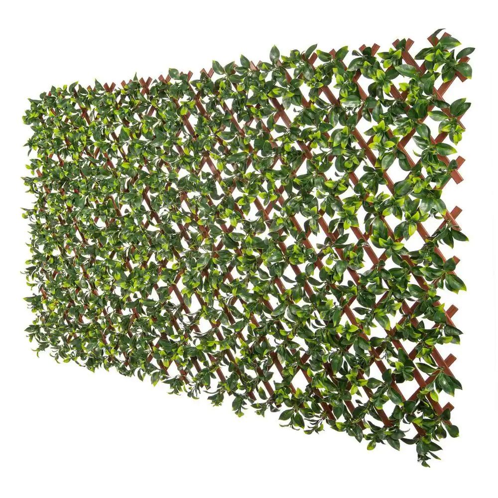 Large Expandable Willow Trellis