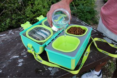 Pet travel feeding system