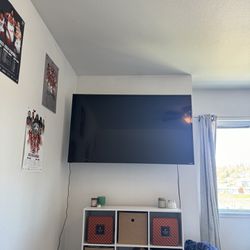 55 inch LCD TV + Moving wall Mount!