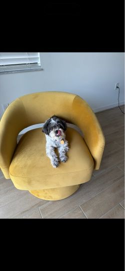 Chita Living Burnt Orange & Mustard Swivel Chairs