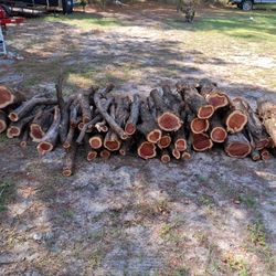 Cedar Logs and Branches For Sale