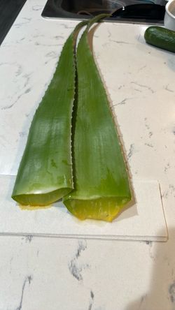 Aloe Vera