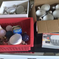 Bulbs
