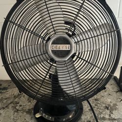 Cinni - 3 Speed Oscillating 13” Table Fan