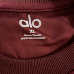 Alo Hoodie 