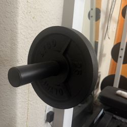 Iron Weights/ Plates 