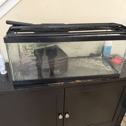 Fish Tank & Accessories