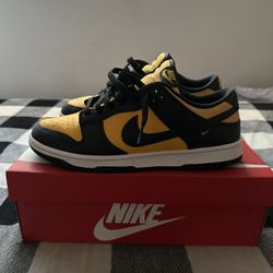 Nike Sb Dunks 