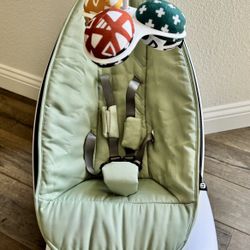 Mamaroo (Never Used)