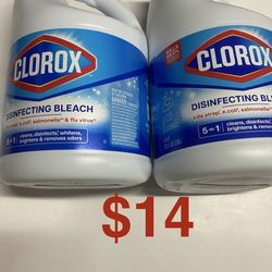 Clorox Bleach Set