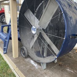Fan 