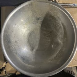 Dog Bowl