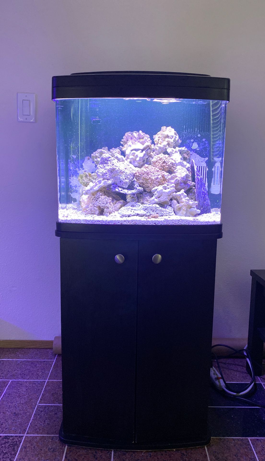 Corallife biocube 28 gallon complete kit