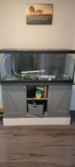 75gal aquarium
