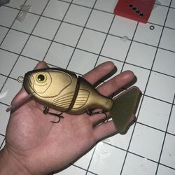 Wake Bait 
