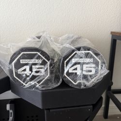 45 Pound Dumbbell Set 